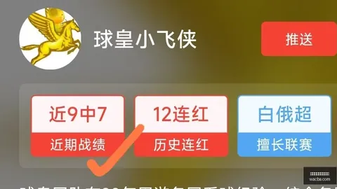 澳篮高命中率：澳西部联备战攻略，攻略